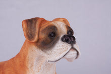 Fawn & White Coat Boxer with Ears Down Figurine Extra Large Pet Urn - Funeral.com, Inc.