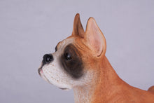 Fawn & White Coat Boxer with Ears Up Figurine Extra Large Pet Urn - Funeral.com, Inc.