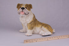 Fawn & White Coat English Bulldog Figurine Extra Large Pet Urn - Funeral.com, Inc.
