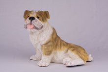 Fawn & White Coat English Bulldog Figurine Extra Large Pet Urn - Funeral.com, Inc.