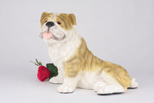 Fawn & White Coat English Bulldog Figurine Extra Large Pet Urn - Funeral.com, Inc.