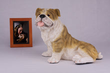Fawn & White Coat English Bulldog Figurine Extra Large Pet Urn - Funeral.com, Inc.