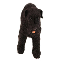 Female Black Schnauzer, Ears Down Standing Figurine Pet Cremation Urn - Funeral.com, Inc.
