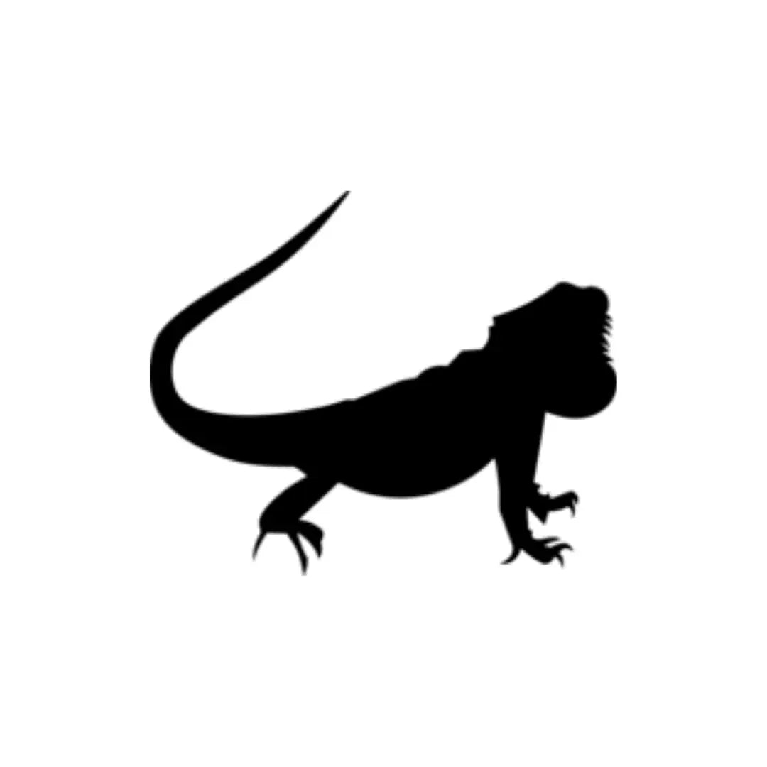 Iguana - funeral.com