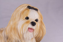 Gold & White Parti - Color Shih Tzu Figurine Extra Large Pet Urn - Funeral.com, Inc.