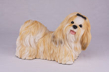 Gold & White Parti - Color Shih Tzu Figurine Extra Large Pet Urn - Funeral.com, Inc.