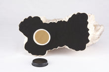 Gold & White Parti - Color Shih Tzu Figurine Extra Large Pet Urn - Funeral.com, Inc.