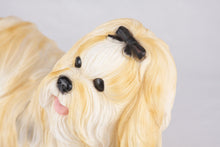 Gold & White Parti - Color Shih Tzu Figurine Extra Large Pet Urn - Funeral.com, Inc.