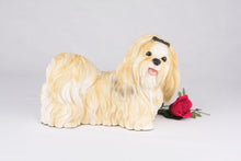 Gold & White Parti - Color Shih Tzu Figurine Extra Large Pet Urn - Funeral.com, Inc.
