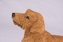 Golden Brown Coat Dachshund Figurine Extra Large Pet Urn - Funeral.com, Inc.