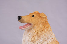 Golden & White Collie Figurine Extra Large Pet Urn - Funeral.com, Inc.