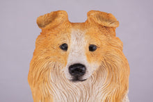 Golden & White Sheltie Resin Figurine Extra Large Pet Urn - Funeral.com, Inc.
