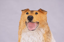 Golden & White with Darker Shades Collie Figurine Extra Large Pet Urn - Funeral.com, Inc.