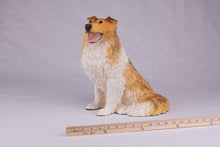 Golden & White with Darker Shades Collie Figurine Extra Large Pet Urn - Funeral.com, Inc.