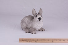 Gray Rabbit Resin Figurine Pet Urn - Funeral.com, Inc.