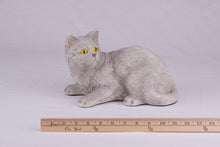 Gray Shorthair Cat Figurine Pet Urn - Funeral.com, Inc.