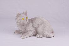 Gray Shorthair Cat Figurine Pet Urn - Funeral.com, Inc.