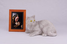 Gray Shorthair Cat Figurine Pet Urn - Funeral.com, Inc.