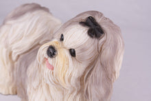 Gray & White Parti - Color Shih Tzu Figurine Extra Large Pet Urn - Funeral.com, Inc.