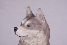 Gray & White Siberian Husky Resin Figurine Extra Large Pet Urn - Funeral.com, Inc.