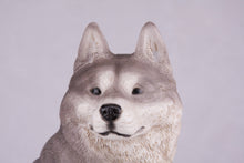 Gray & White Siberian Husky Resin Figurine Extra Large Pet Urn - Funeral.com, Inc.
