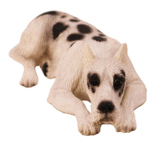 Harlequin with Ears Up, Lying Down Figurine Pet Cremation Urn - Funeral.com, Inc.