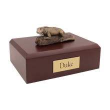 Iguana, Lying Down Figurine Pet Cremation Urn - Funeral.com, Inc.