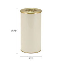 Ivory Stainless Steel Adult Cremation Urn with Butterfly Lid - Funeral.com, Inc.