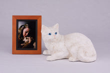 Ivory White Coat Shorthair Cat Figurine Pet Urn - Funeral.com, Inc.