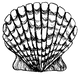 7818 - Sea Shell 1