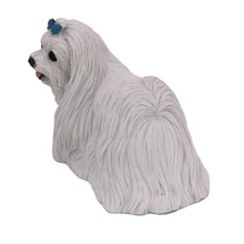 Maltese with Blue Ribbon, Standing Figurine Pet Cremation Urn - Funeral.com, Inc.