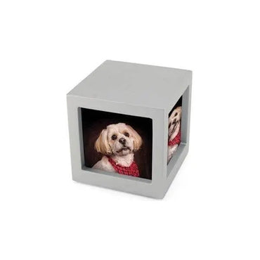 Cherish Today Silver Photo Cube Medium Pet Urn - funeral.com