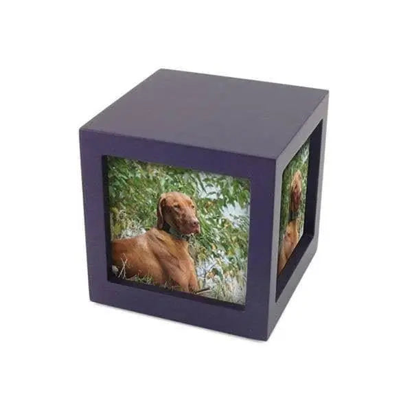 Cherish Today Violet Photo Cube Large Pet Urn - funeral.com
