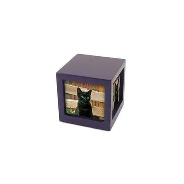 Cherish Today Violet Photo Cube Small Pet Urn - funeral.com