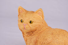 Orange Shorthair Cat Figurine Pet Urn - Funeral.com, Inc.