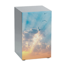 Pewter Stainless Steel Soaring Sky Adult Cremation Urn - Funeral.com, Inc.