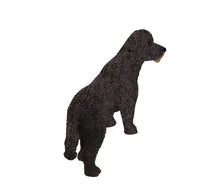 Portuguese Water Dog, Standing Figurine Pet Cremation Urn - Funeral.com, Inc.