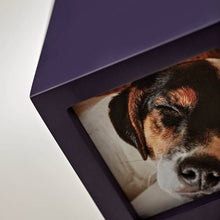 Purple Photo Cube Medium Pet Cremation Urn - Funeral.com, Inc.