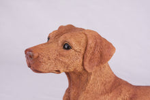 Red Coat Doberman Pinscher with Ears Down Figurine Extra Large Pet Urn - Funeral.com, Inc.