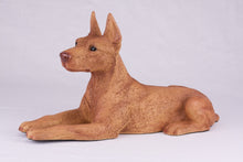 Red Coat Doberman Pinscher with Ears Up Figurine Extra Large Pet Urn - Funeral.com, Inc.