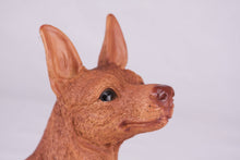 Red Miniature Pinscher with Ears Up Figurine Extra Large Pet Urn - Funeral.com, Inc.