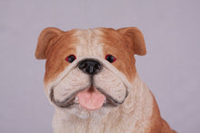 Red & White Coat English Bulldog Figurine Extra Large Pet Urn - Funeral.com, Inc.