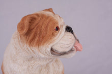 Red & White Coat English Bulldog Figurine Extra Large Pet Urn - Funeral.com, Inc.