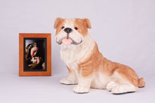 Red & White Coat English Bulldog Figurine Extra Large Pet Urn - Funeral.com, Inc.