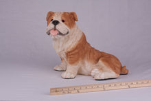 Red & White Coat English Bulldog Figurine Extra Large Pet Urn - Funeral.com, Inc.