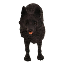 Schipperke, Standing Figurine Pet Cremation Urn - Funeral.com, Inc.