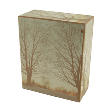 Serenity Tree Landscape MDF Scattering Adult Cremation Urn - Funeral.com, Inc.