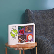 Shadow Box Urn for Pet Ashes & Mementos with Dog & Tennis Ball Design - Funeral.com, Inc.