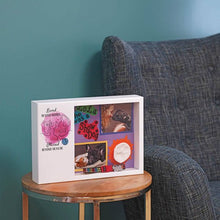 Shadow Box Urn for Pet Ashes & Mementos with Pink Cat & Yarn Design - Funeral.com, Inc.