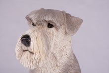 Silver & Cream Schnauzer with Ears Down Figurine Extra Large Pet Urn - Funeral.com, Inc.